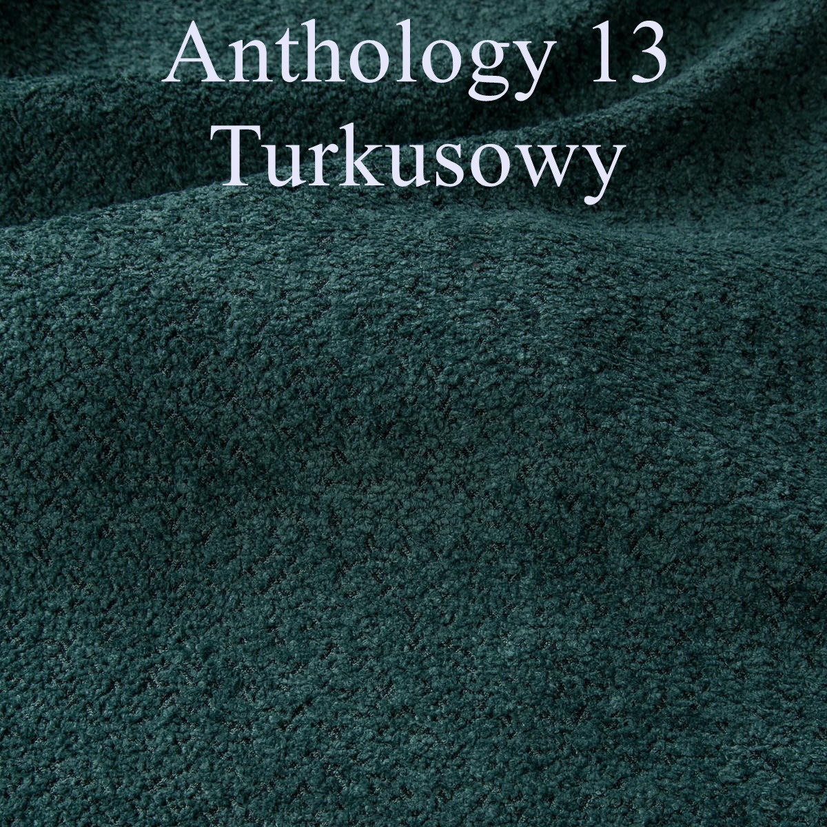 Anthology 13 turkus