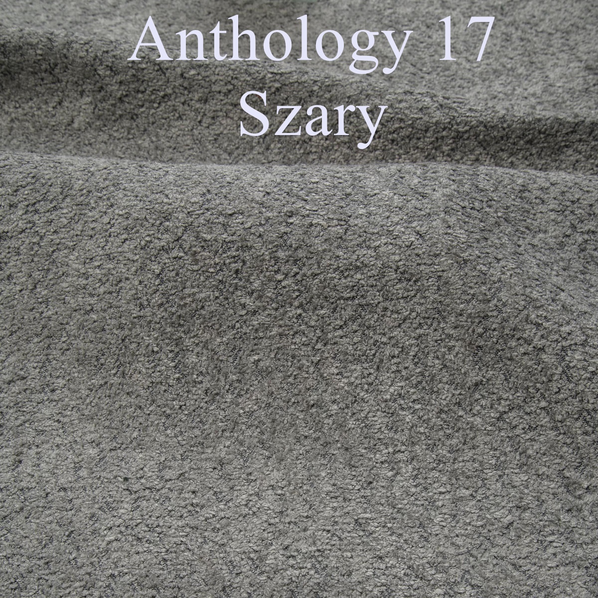 Anthology szary