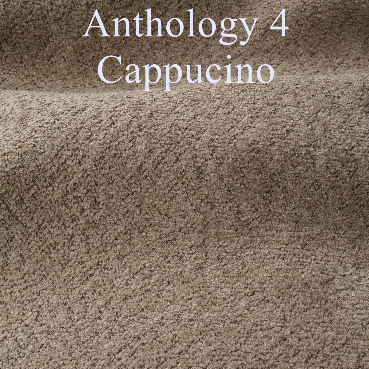 Anthology 4 cappucino