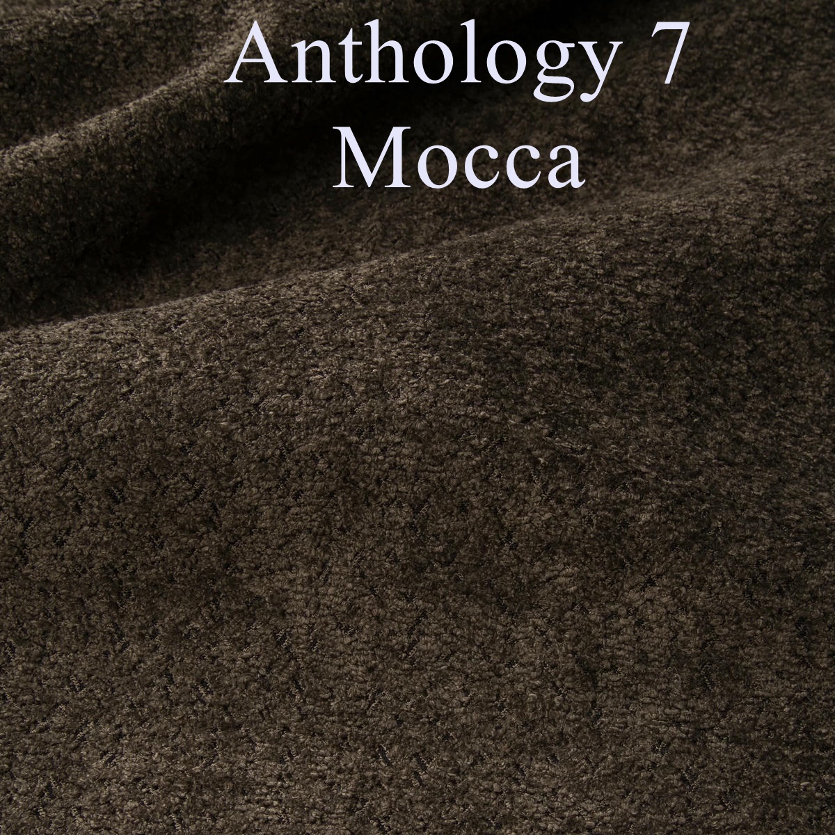 Anthology 7 mocca