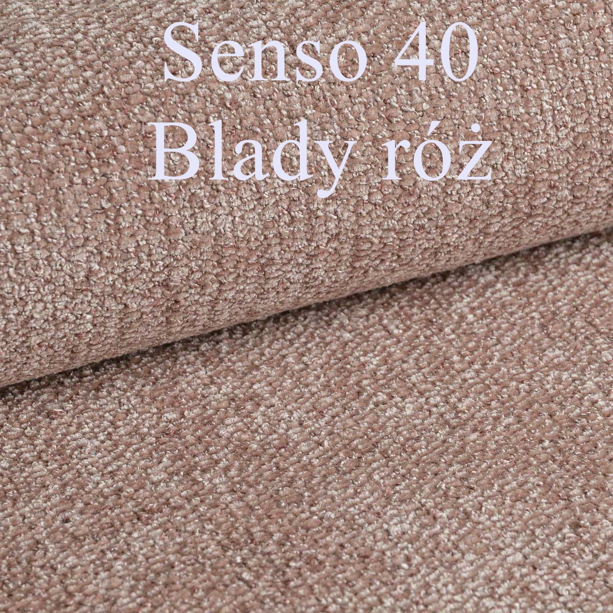 senso 40