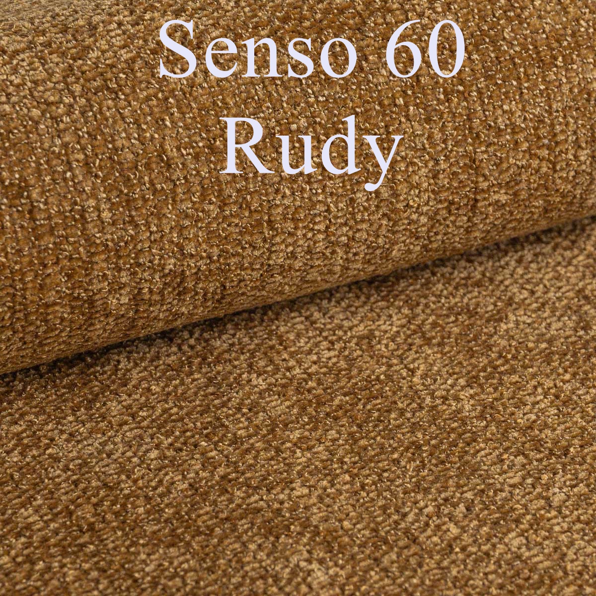senso 60