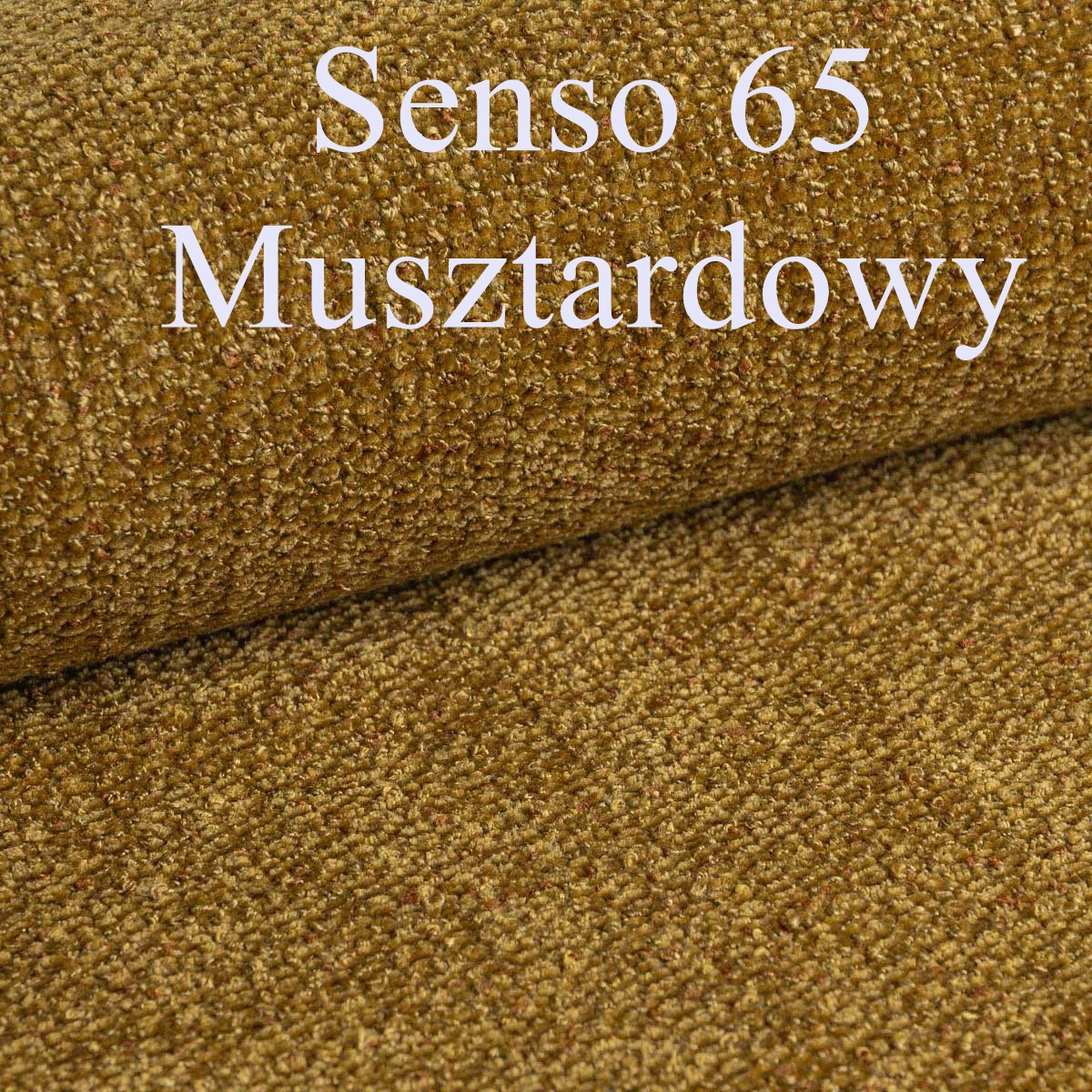 senso 65